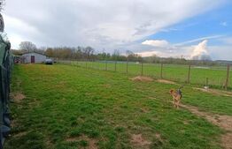 TEREN EXTRAVILAN URLETA , 1310m2 