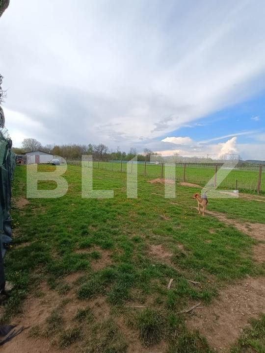 Teren de vânzare Campina - 176130TV | BLITZ Ploieşti | Poza2