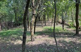 Casa cu teren 1000 m Drajna