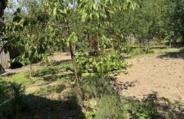 Casa cu teren 1000 m Drajna