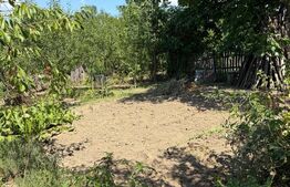 Casa cu teren 1000 m Drajna