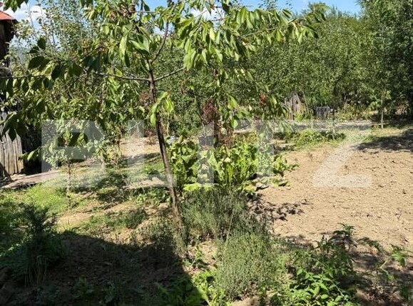 Casa de vânzare 4 camere Valenii de Munte - 176148CV | BLITZ Ploieşti | Poza17