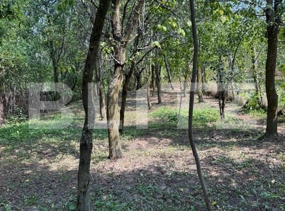 Casa de vânzare 4 camere Valenii de Munte - 176148CV | BLITZ Ploieşti | Poza18