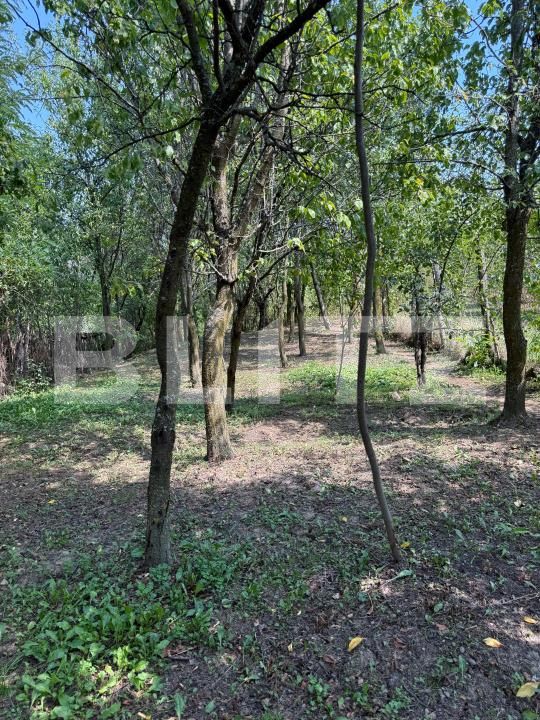 Casa de vânzare 4 camere Valenii de Munte - 176148CV | BLITZ Ploieşti | Poza17
