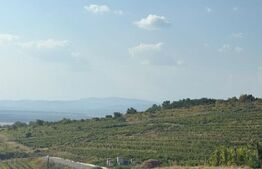 Casa cu 2 camere demolabila, suprafata teren 1700mp + super priveliste , Seciu 