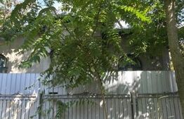 Casa 4 camere , teren 285 mp, zona semi-centrala