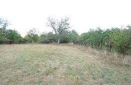 Teren intravilat 1777 mp, front 16 m, zona centru Aricestii Rahtivani