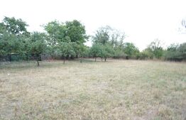 Teren intravilat 1777 mp, front 16 m, zona centru Aricestii Rahtivani