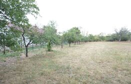 Teren intravilat 1777 mp, front 16 m, zona centru Aricestii Rahtivani