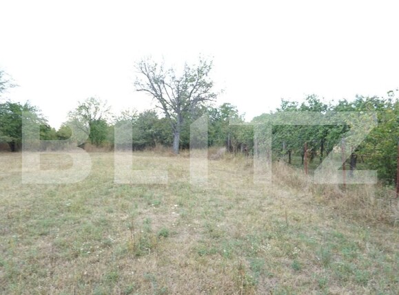 Teren de vânzare Aricestii Rahtivani - 177158TV | BLITZ Ploieşti | Poza5