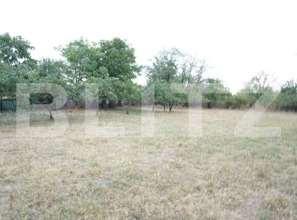 Teren de vânzare Aricestii Rahtivani - 177158TV | BLITZ Ploieşti | Poza3