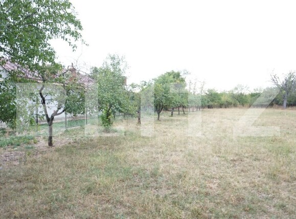 Teren de vânzare Aricestii Rahtivani - 177158TV | BLITZ Ploieşti | Poza6