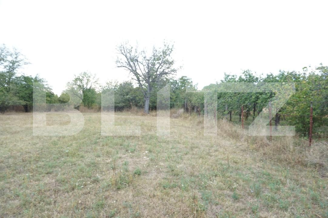 Teren de vânzare Aricestii Rahtivani - 177158TV | BLITZ Ploieşti | Poza5