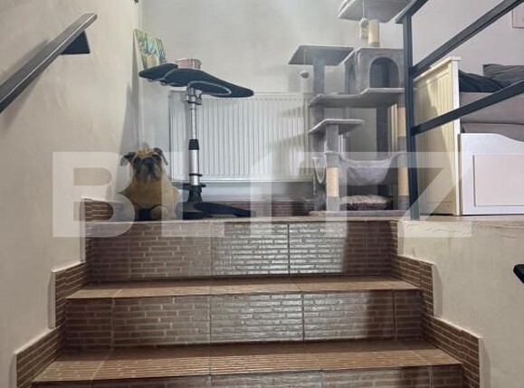 Casa de vânzare 6 camere Sud - 178364CV | BLITZ Ploieşti | Poza20