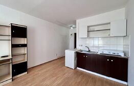 Garsoniera, 20 mp, zona Teleajen