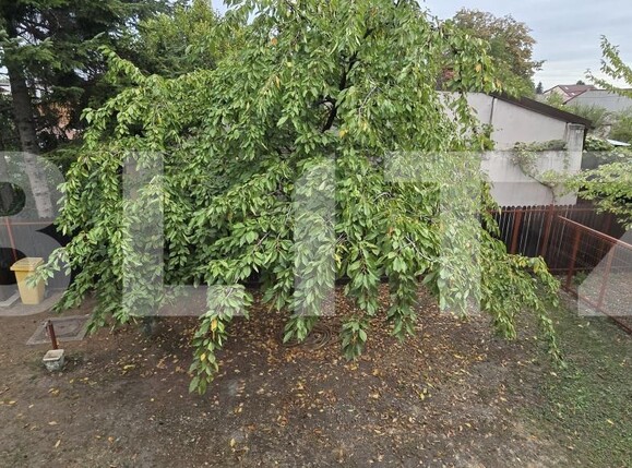 Casa de vânzare 4 camere Buna Vestire - 178487CV | BLITZ Ploieşti | Poza18