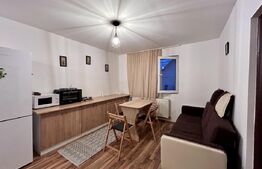 Apartament 2 camere, 38 mp, zona Teleajen