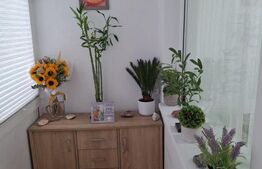 Apartament cu 3 camere, 53 mp, zona Malu Roșu