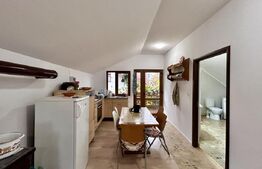 Casa cu 3 camere si atelier mecanic, 100 mp, zona Republicii