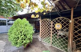 Casa cu 3 camere si atelier mecanic, 100 mp, zona Republicii
