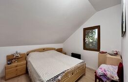 Casa cu 3 camere si atelier mecanic, 100 mp, zona Republicii