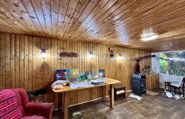 Casa cu 3 camere si atelier mecanic, 100 mp, zona Republicii