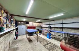 Casa cu 3 camere si atelier mecanic, 100 mp, zona Republicii