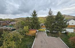 Casă spațioasă cu livadă și vedere spre pădure – Filipeștii de Pădure, Prahova