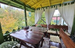 Casă spațioasă cu livadă și vedere spre pădure – Filipeștii de Pădure, Prahova