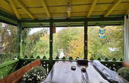 Casă spațioasă cu livadă și vedere spre pădure – Filipeștii de Pădure, Prahova