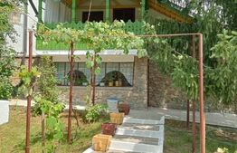 Casă spațioasă cu livadă și vedere spre pădure – Filipeștii de Pădure, Prahova