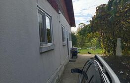 Casa spatioasa cu livada - 5 camere, 210 mp , teren 1500 mp, Pietrosani