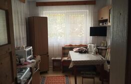 Casa spatioasa cu livada - 5 camere, 210 mp , teren 1500 mp, Pietrosani