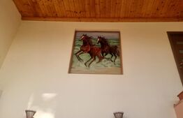 Casa cu etaj in Cocorastii Colt la doar 10 minute de autostrada A3