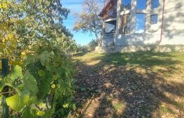 VILA 7 camere 10 min de  A3,DN1