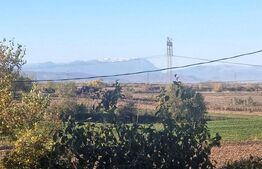 Casa cu etaj in Cocorastii Colt la doar 10 minute de autostrada A3