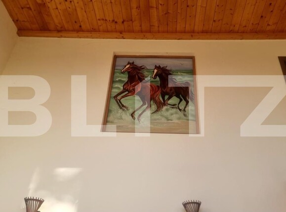 Casa de vânzare 7 camere Cocorastii Grind - 181008CV | BLITZ Ploieşti | Poza14