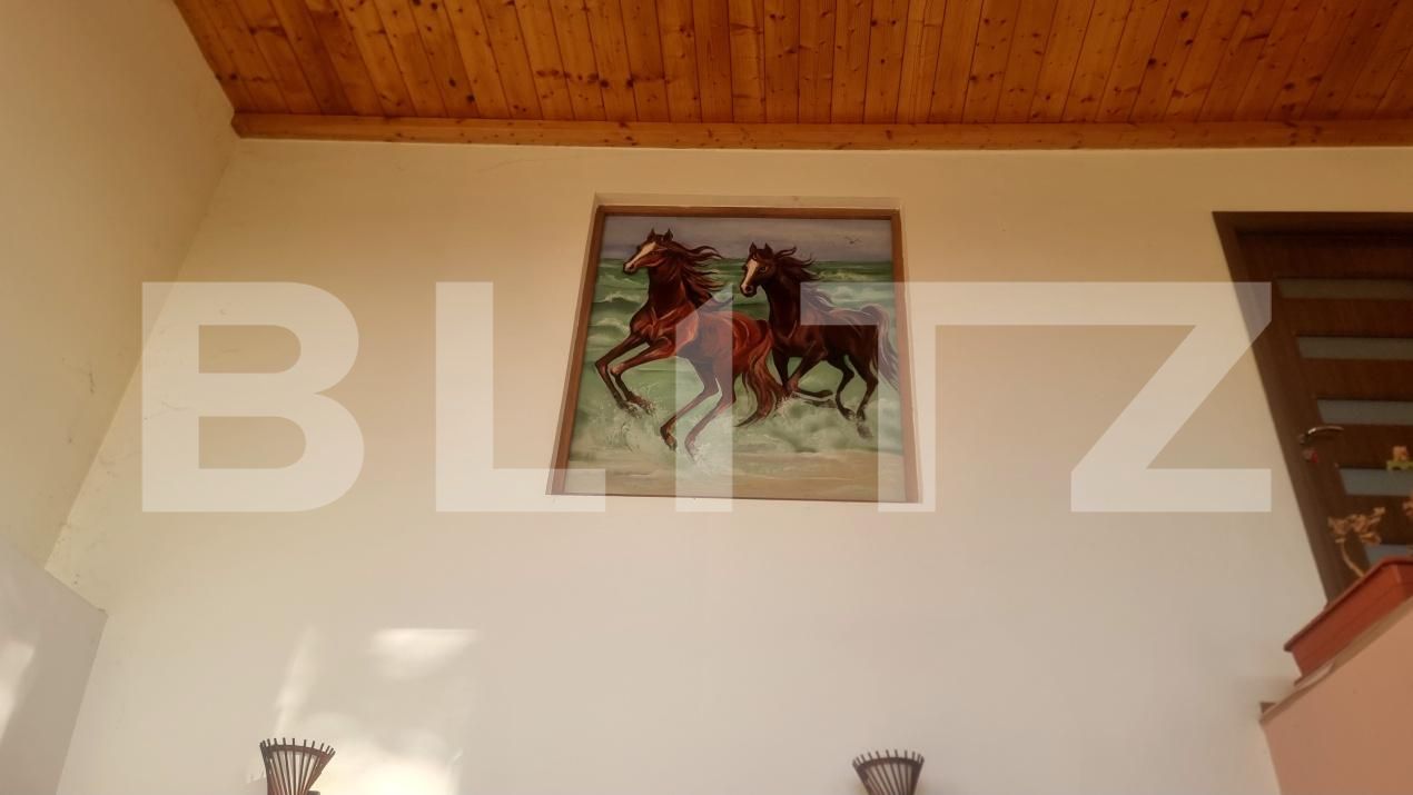 Casa de vânzare 7 camere Cocorastii Grind - 181008CV | BLITZ Ploieşti | Poza14