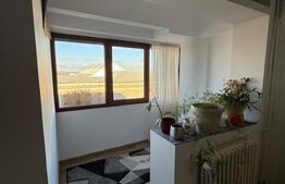 Apartament 2 camere, an 1987, ultracentral Winmarkt