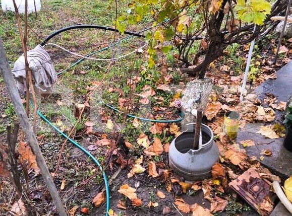 Casa de vânzare 5 camere Cioranii de Jos - 181308CV | BLITZ Ploieşti | Poza19