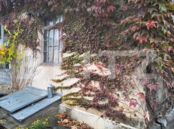 Casa de vânzare 5 camere Cioranii de Jos - 181308CV | BLITZ Ploieşti | Poza20