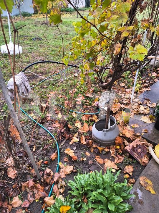 Casa de vânzare 5 camere Cioranii de Jos - 181308CV | BLITZ Ploieşti | Poza19