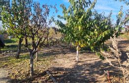 Casa-VILA deosebita ,mobilata plus toate facilitatile