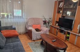 Casa-VILA deosebita ,mobilata plus toate facilitatile