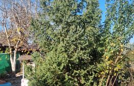 Casa-VILA deosebita ,mobilata plus toate facilitatile