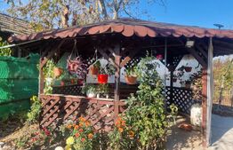 Casa-VILA deosebita ,mobilata plus toate facilitatile