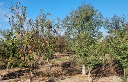 Casa-VILA deosebita ,mobilata plus toate facilitatile