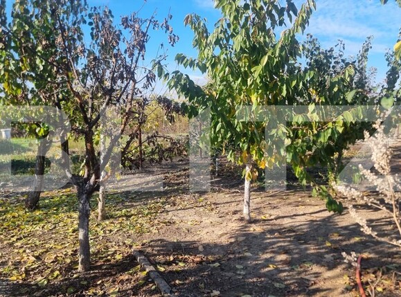 Casa de vânzare 6 camere Cocorastii Colt - 181411CV | BLITZ Ploieşti | Poza19