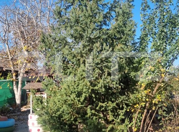 Casa de vânzare 6 camere Cocorastii Colt - 181411CV | BLITZ Ploieşti | Poza14