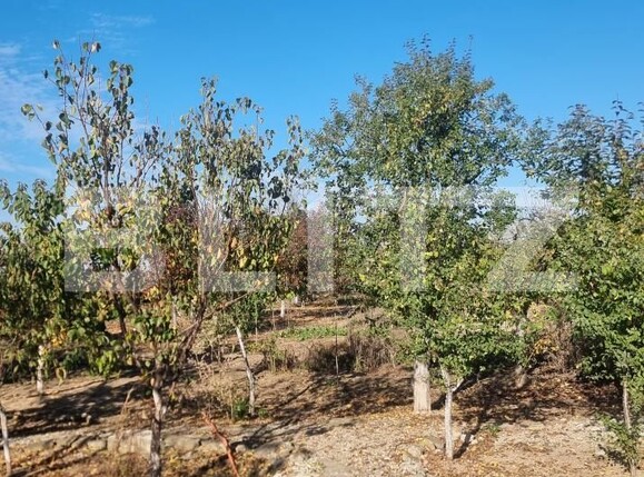 Casa de vânzare 6 camere Cocorastii Colt - 181411CV | BLITZ Ploieşti | Poza18